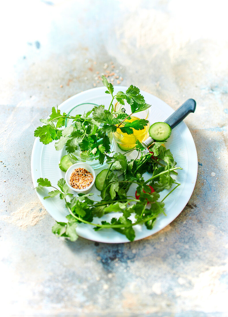 Herbs, spices and oil as seasoning on a plate