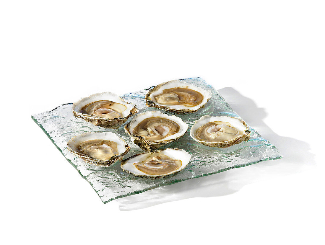 Belon oysters on a serving platter