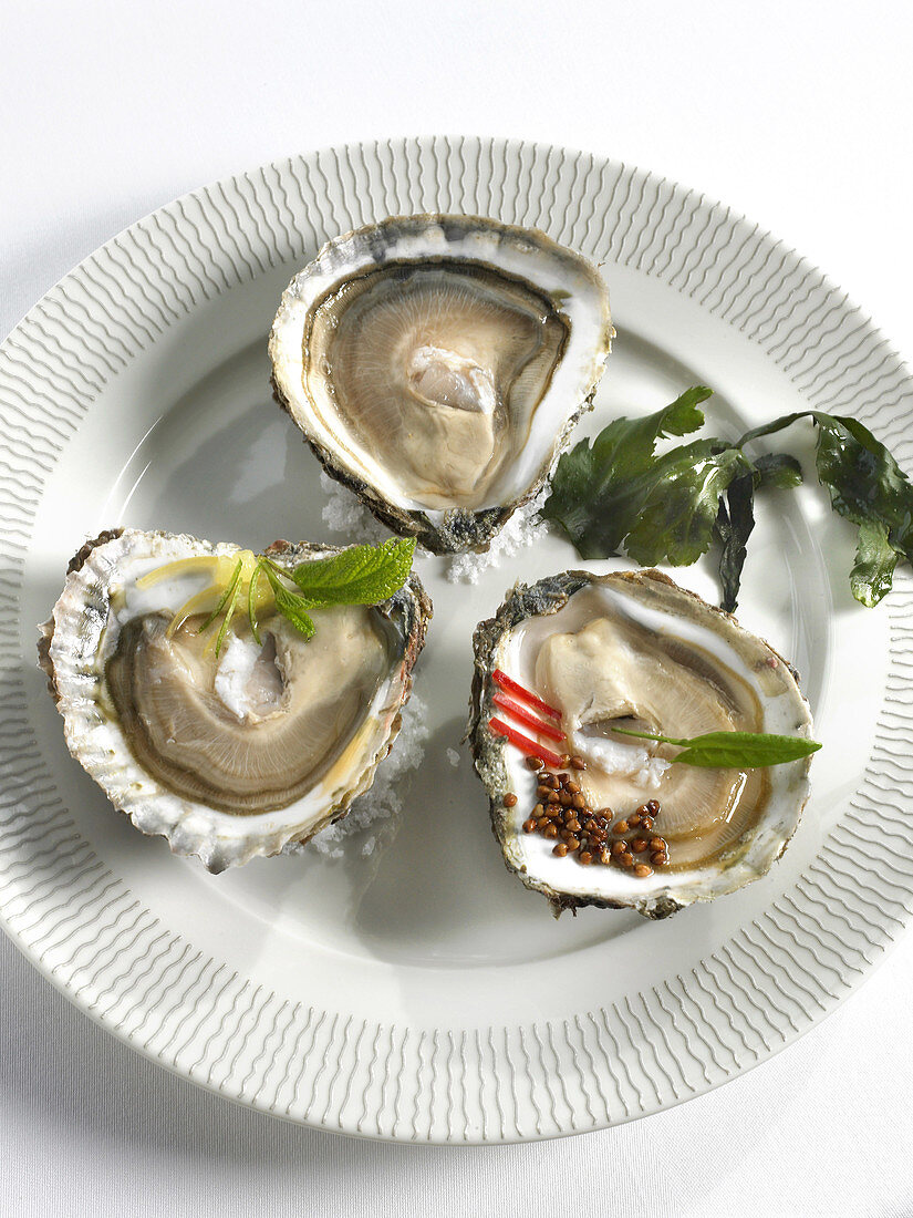 Brittany oysters on a platter