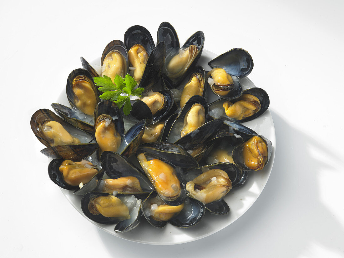 Moules marinières