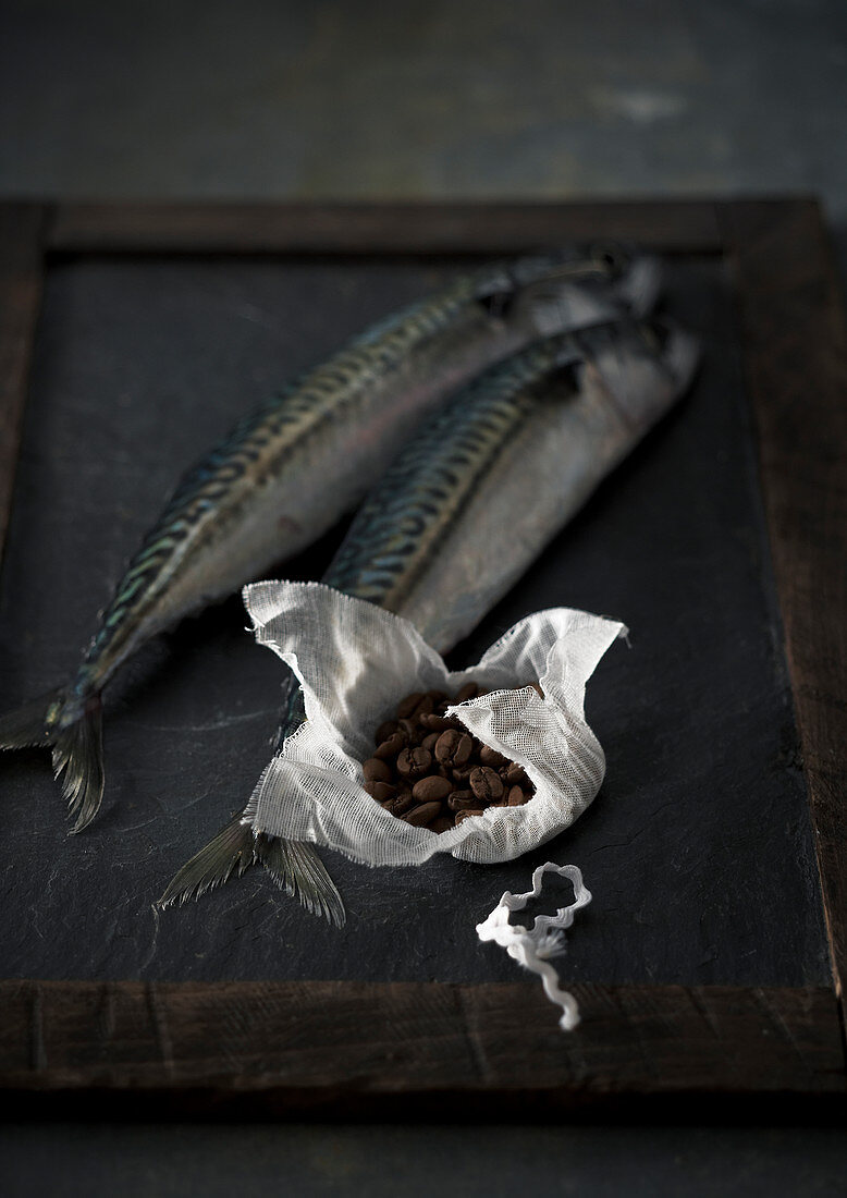 Still life with raw mackerel and coffee beans