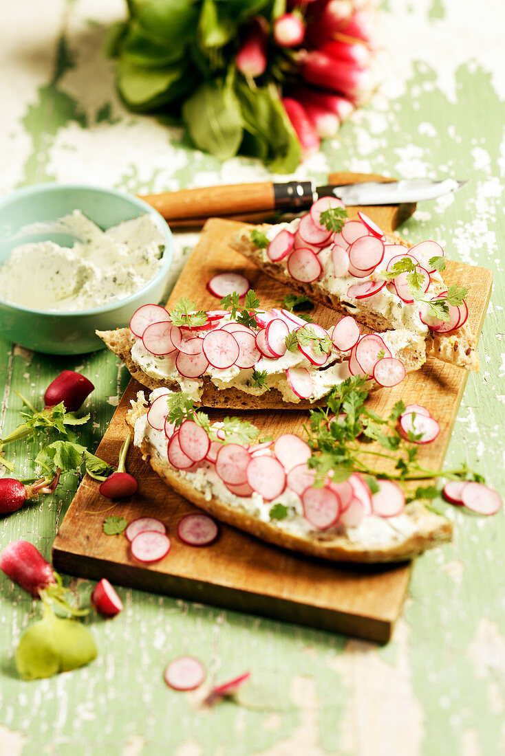 Cream cheese,radishes with garlic and fresh herbs on sliced bread