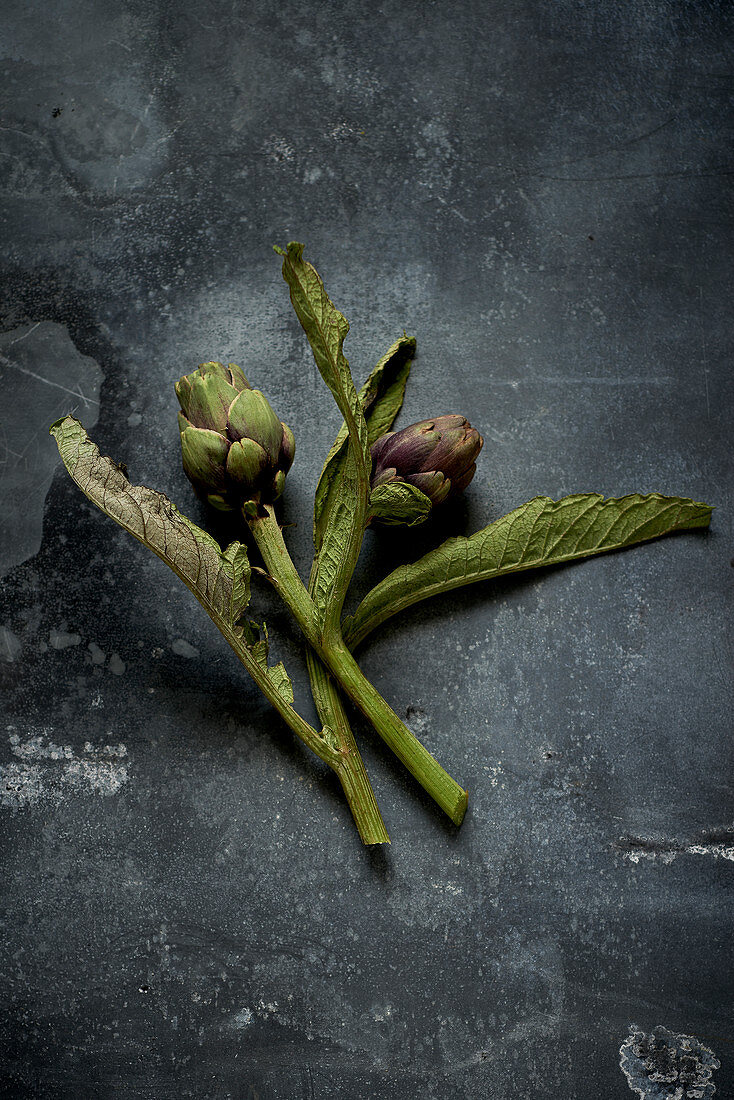 Artichokes