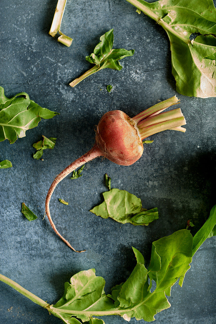 A fresh sugar beet