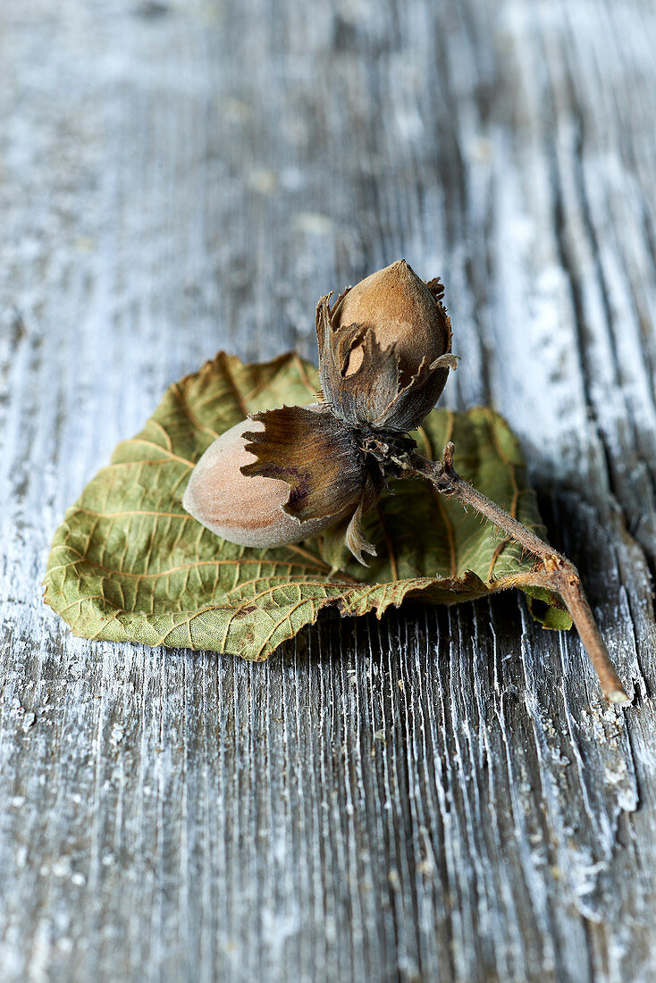 Hazelnuts