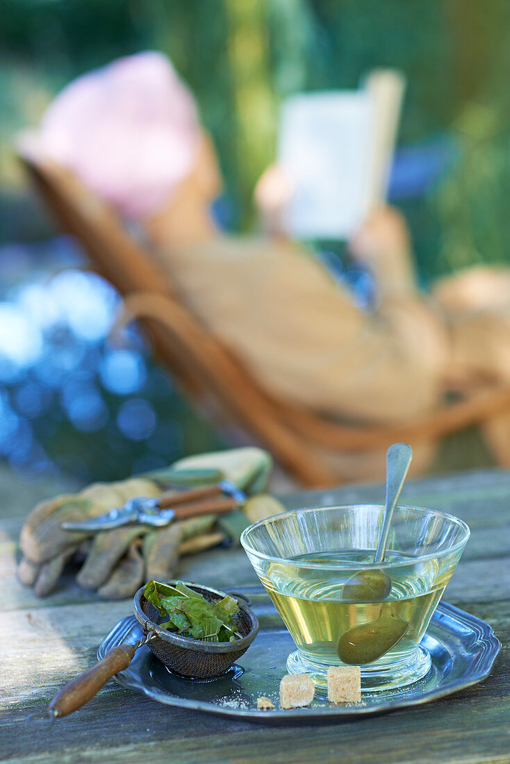 Glass of verbena infusion