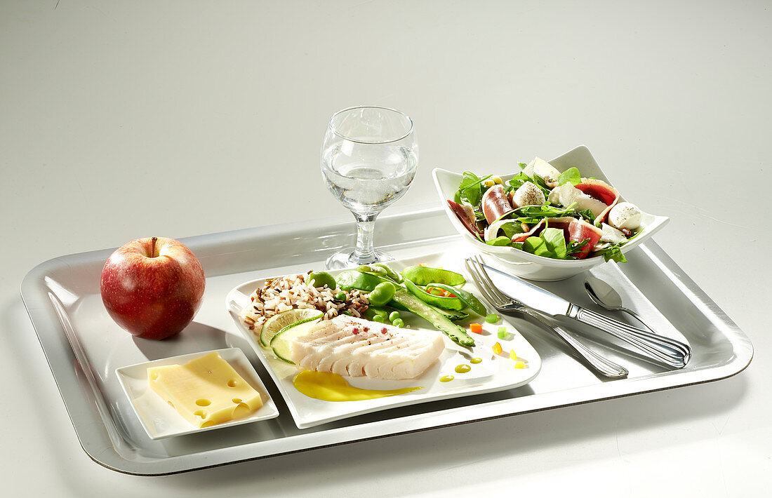 Menü mit Salat, Fischgericht, Käse, Apfel und Glas Wasser auf Tablett