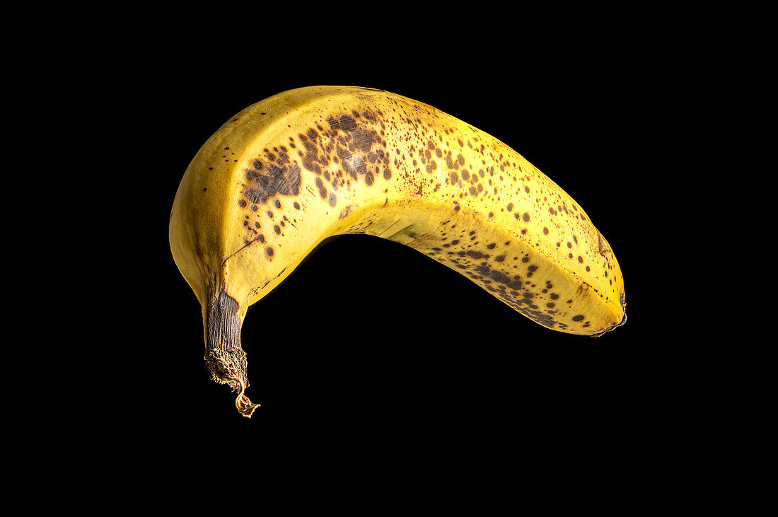 Banane sur fond noir avec focus stacking. Banana on a black background with focus stacking.