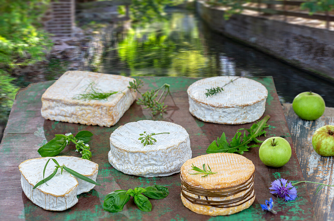 Assorted cheeses on an outdoor table