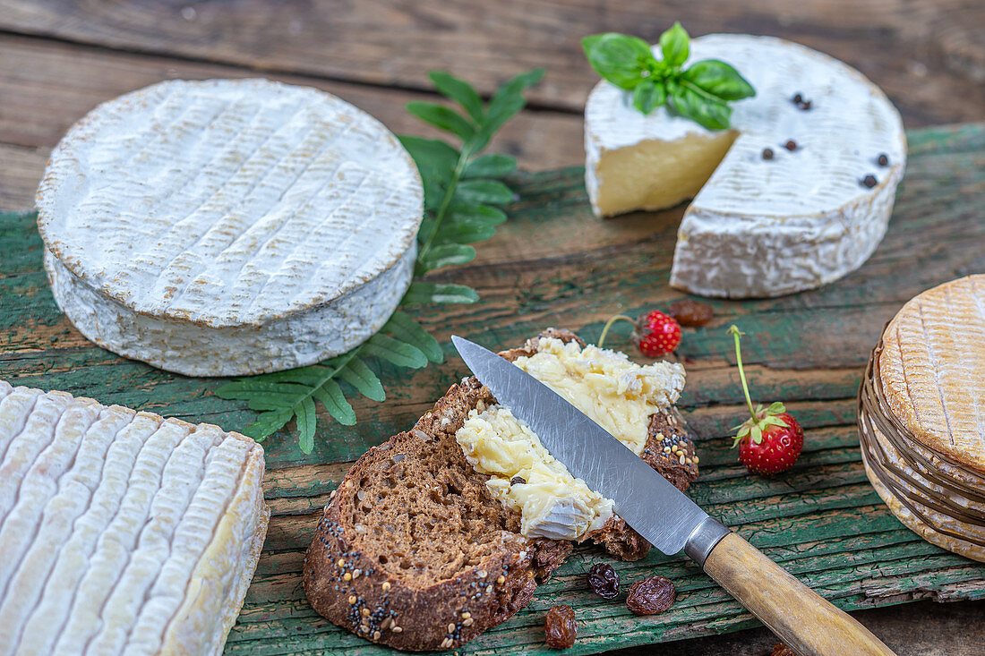 Verschiedene Käsesorten und Brot