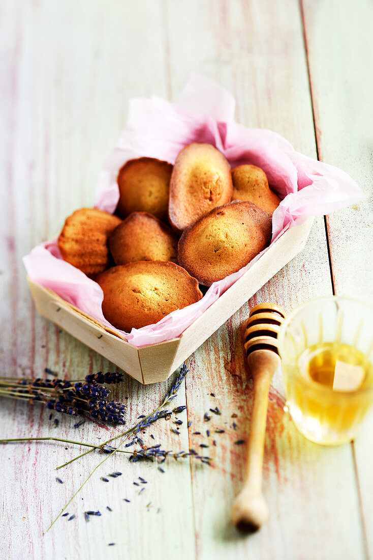 Madeleines mit Honig und Lavendel