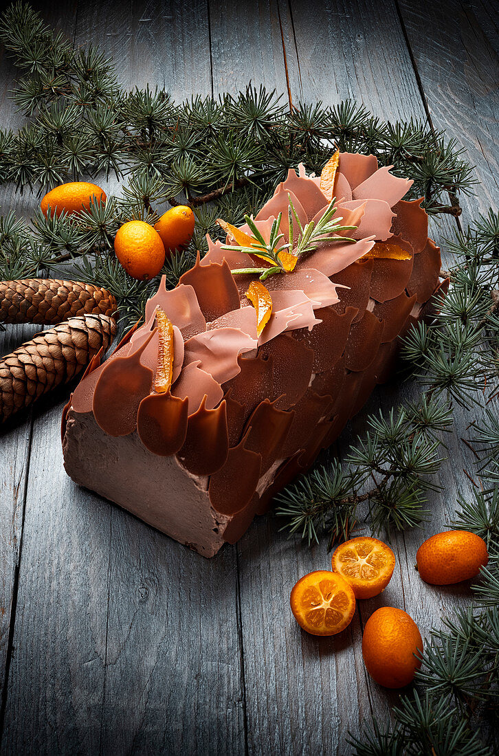 Milk chocolate log with candied oranges