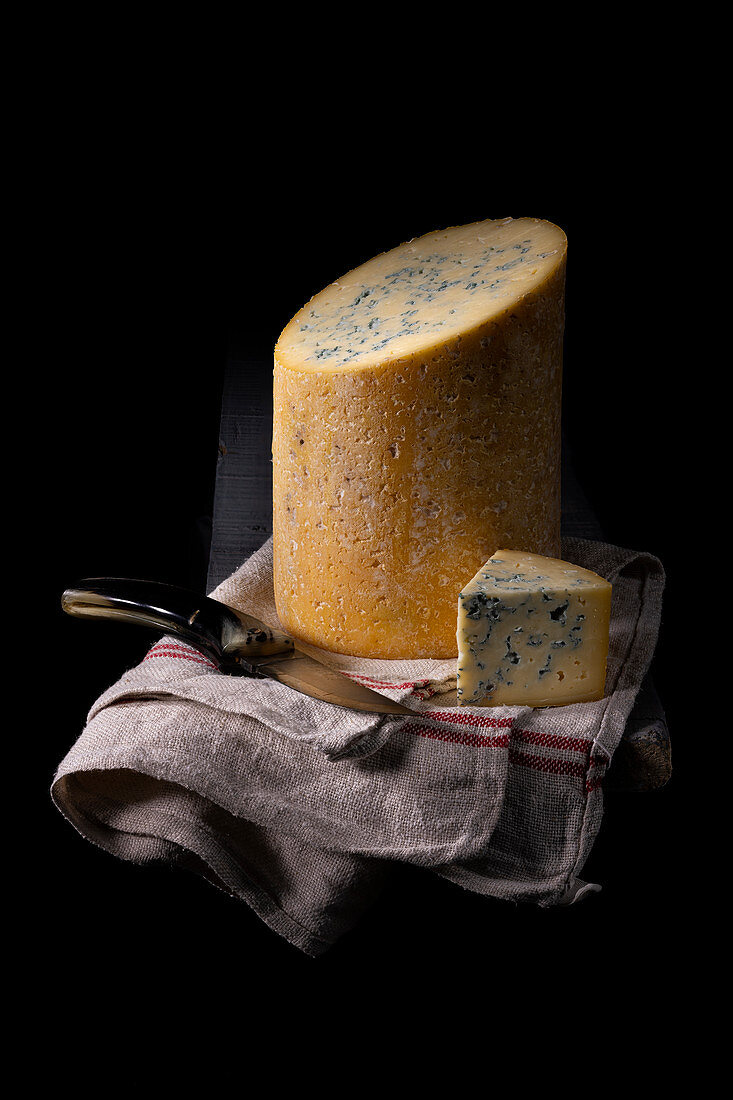 Fourme de Montbrison (Edelpilzkäse)