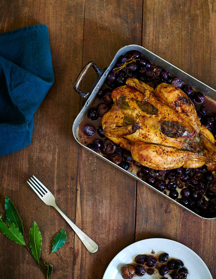 Christmas Octopus with laurel and grapes