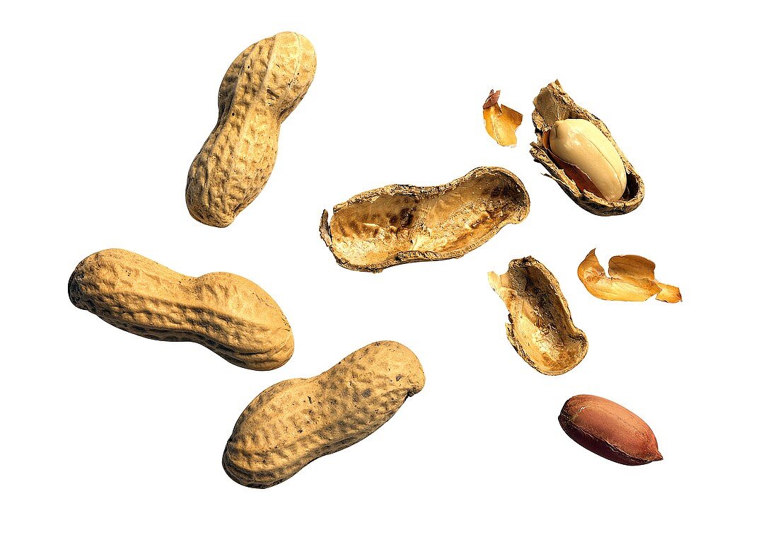 Erdnüsse, mit & ohne Schale