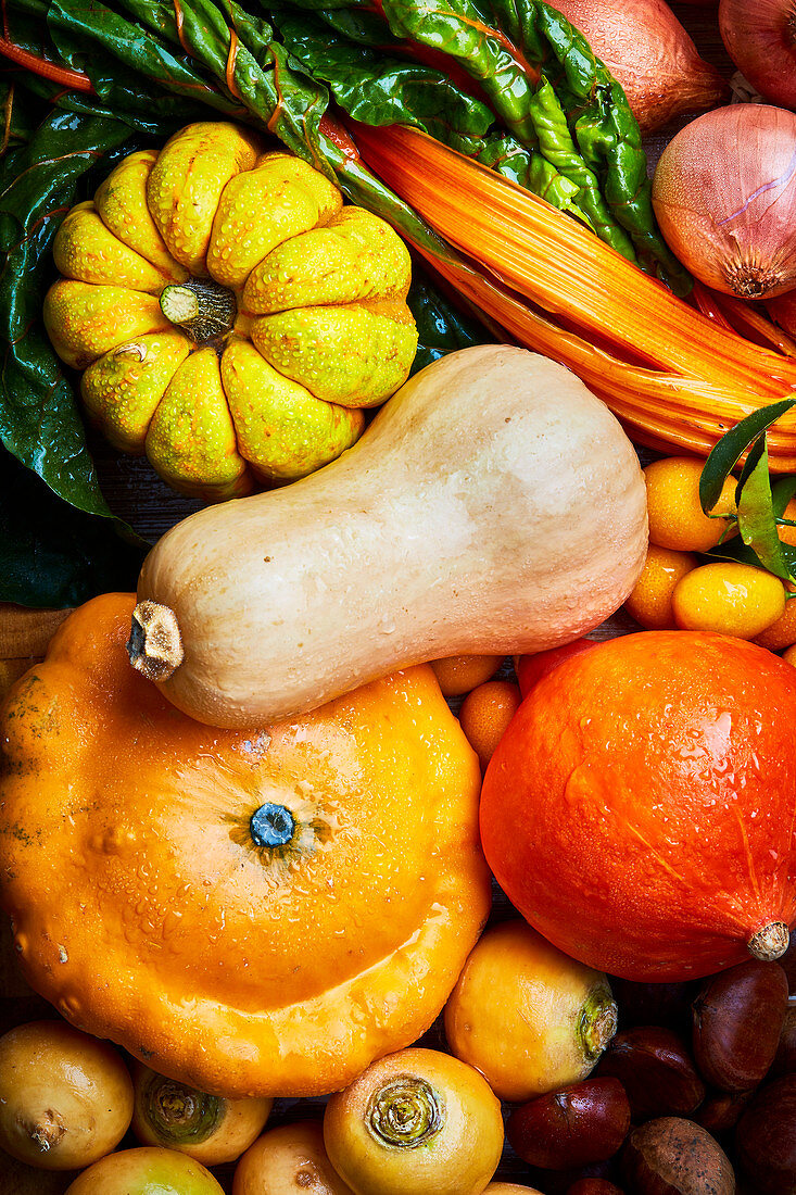 Autumn vegetable assortment