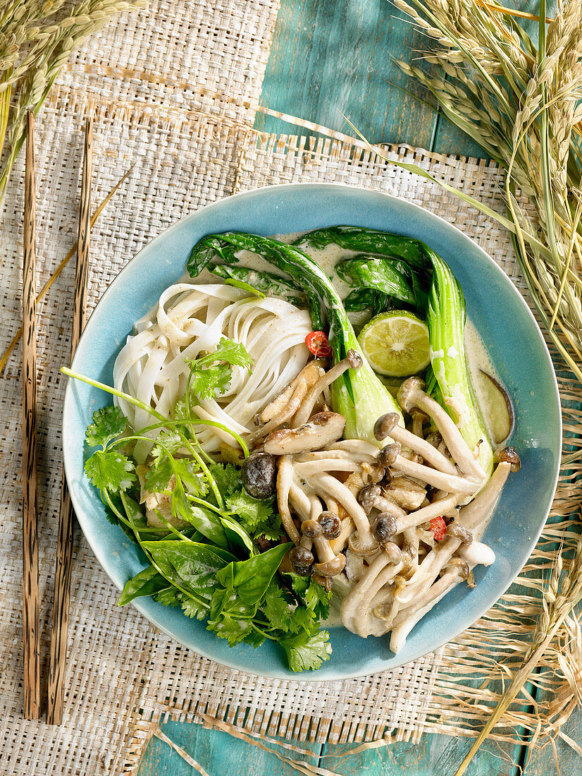 Green curry with rice noodle and cultivated mushrooms
