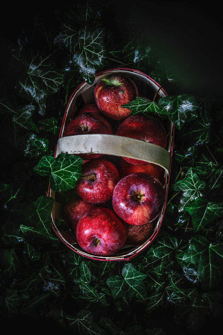 Basket of red apples