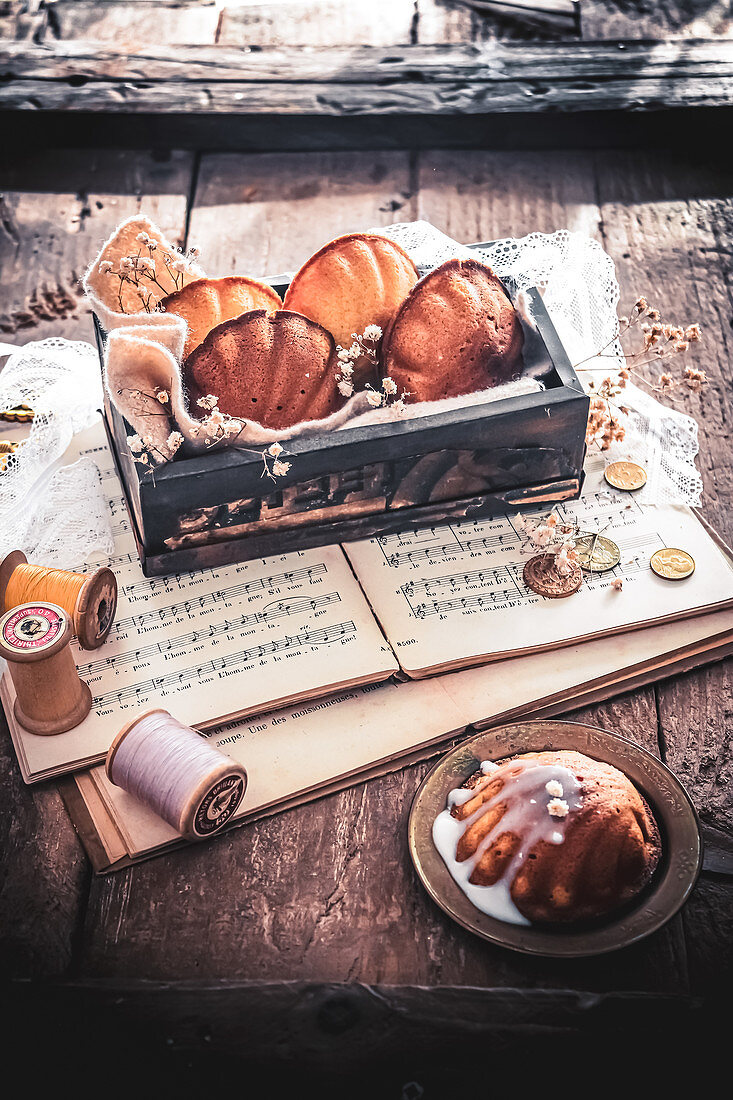 Madeleines in the shape of a shell