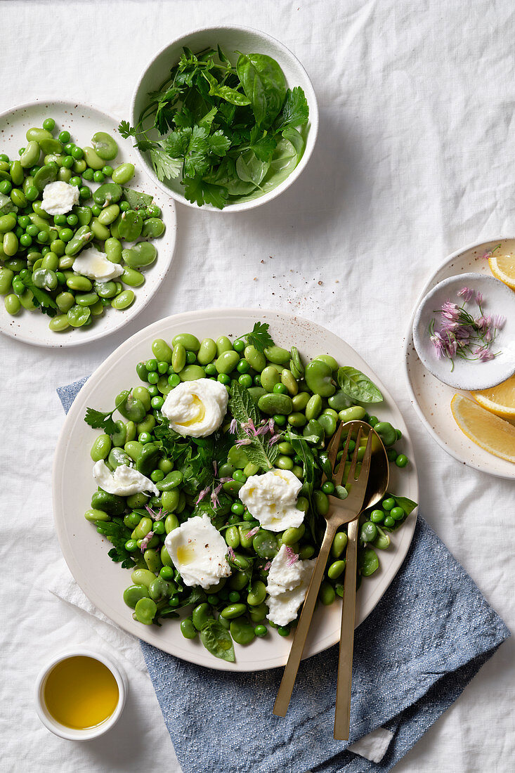 A salad of broad beans (fava beans), edamame, green peas, with burrata cheese and herbs, and olive oil and lemon vinaigrette