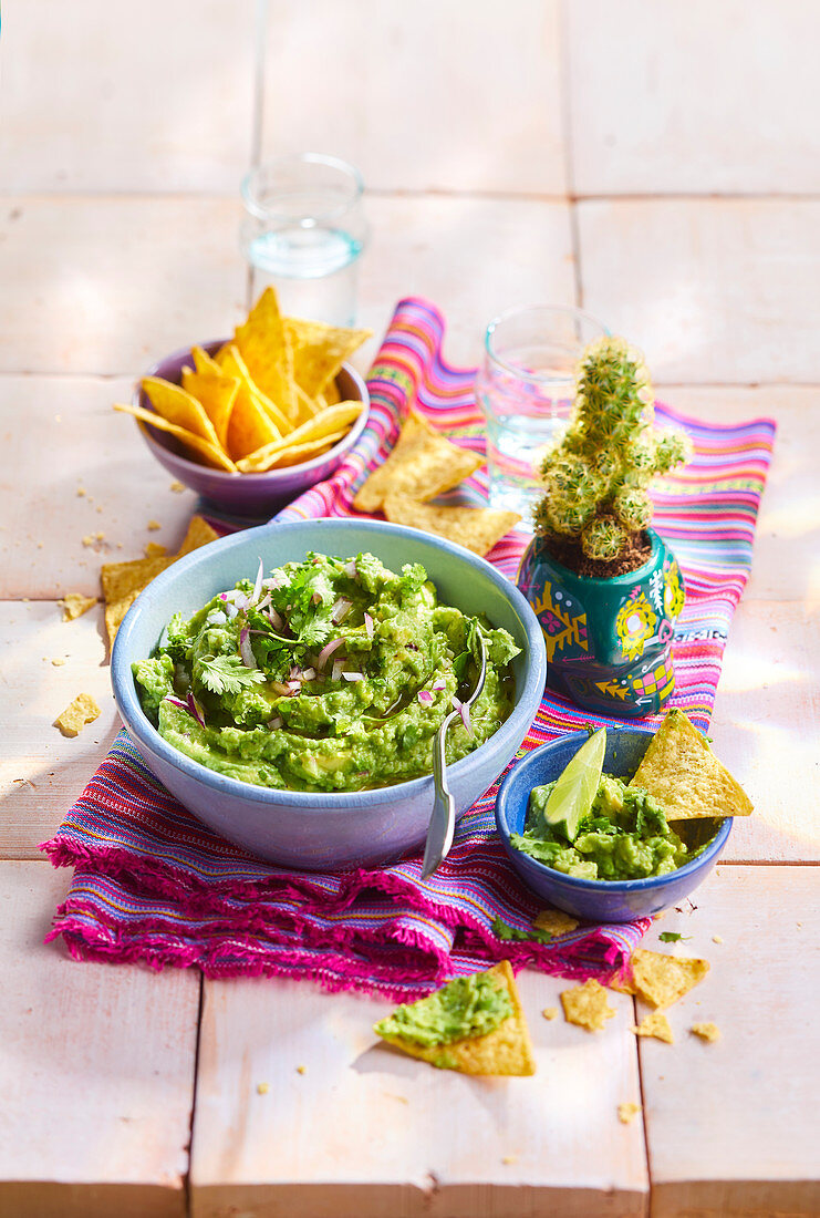 Guacamole mit Tortillachips (Mexiko)