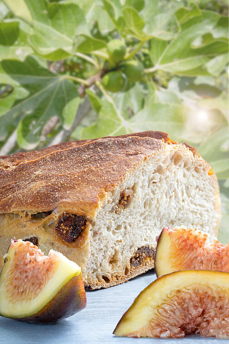 Light crusty bread with figs