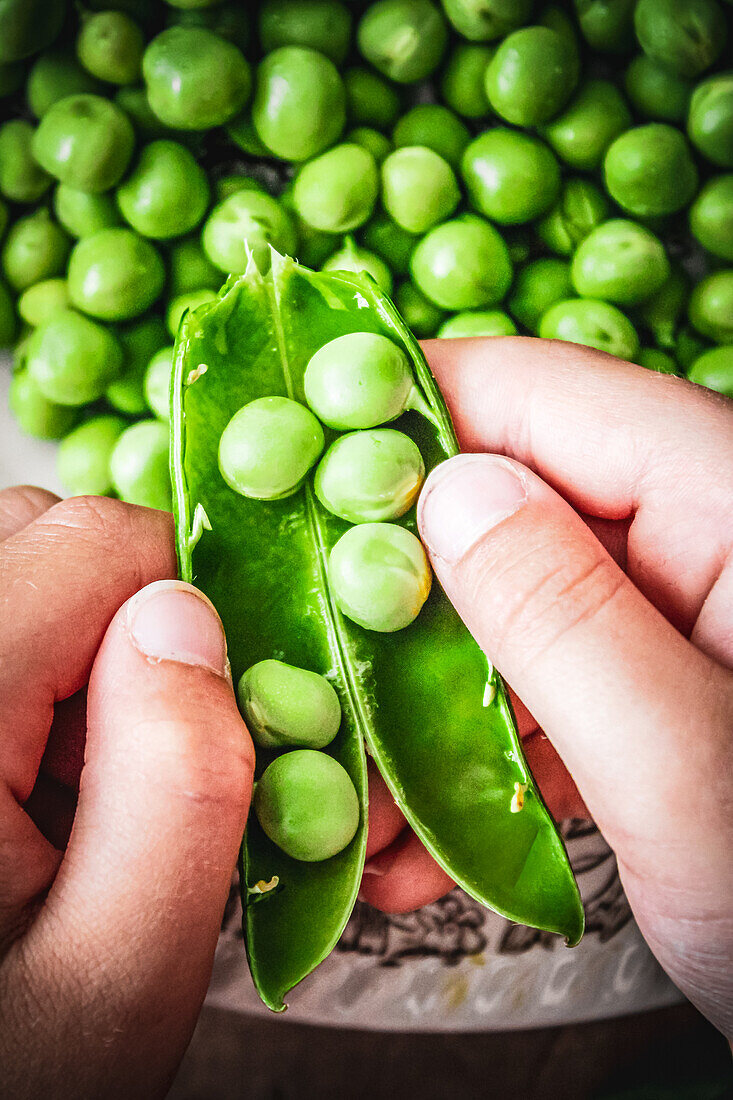 Children's hands peeling pea pods (Close Up)