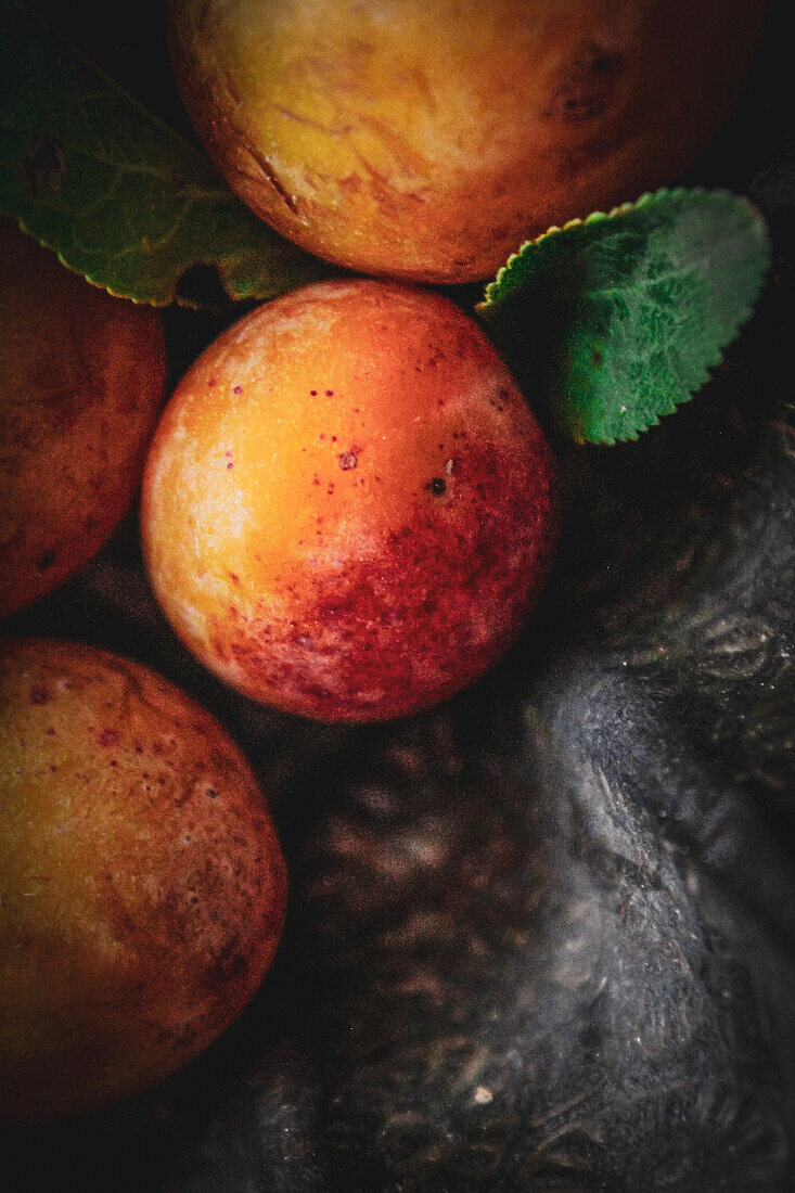 Mirabelle plums (Close Up)