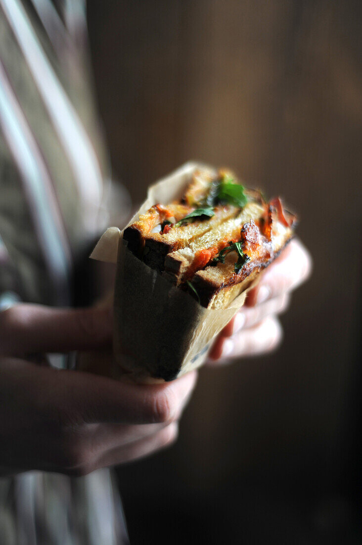 Hand holding toasted sandwich with grilled vegetables and melted cheese