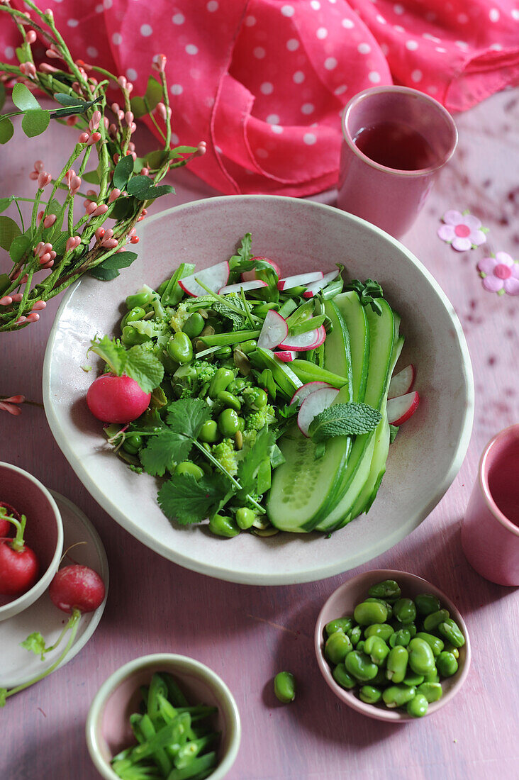 Grüner Frühlingssalat mit Bohnen, Gurke … – Bilder kaufen – 60553972 ...