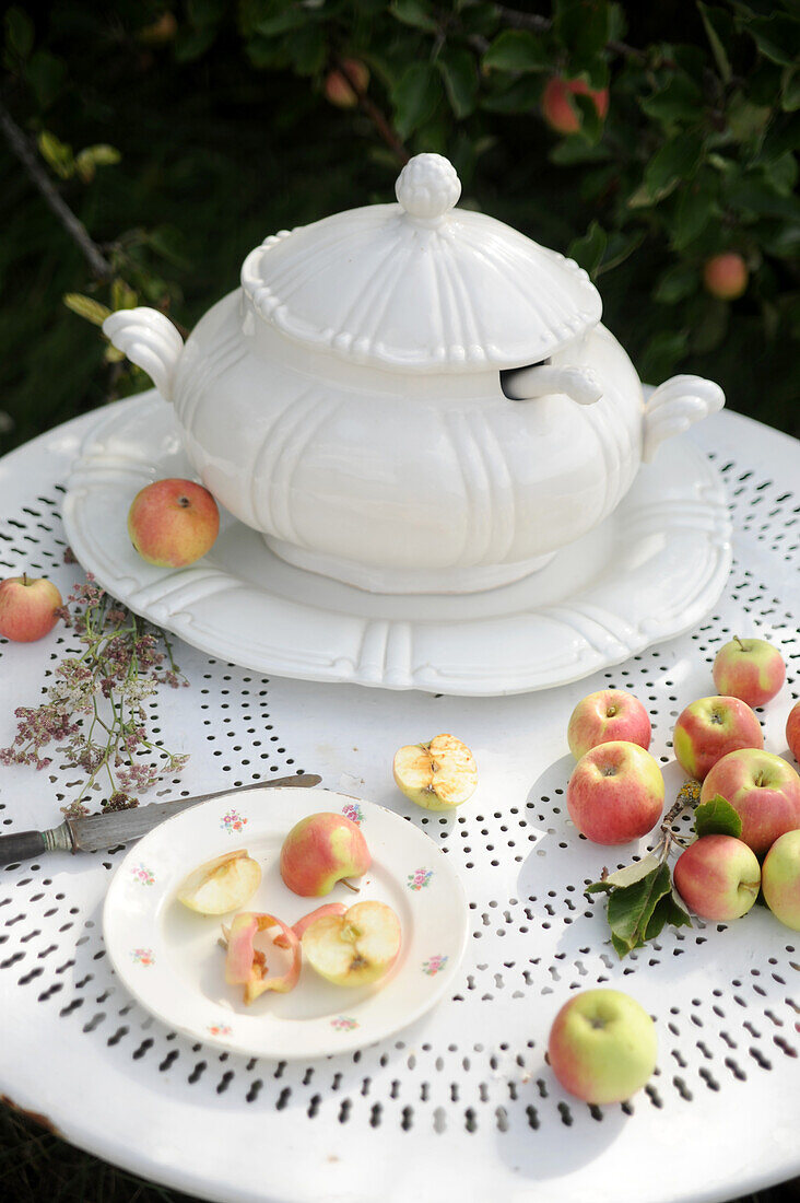 Suppenterrine und frische Äpfel auf Gartentisch