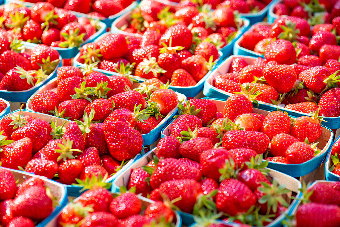 Fresh strawberries in plastic bowls