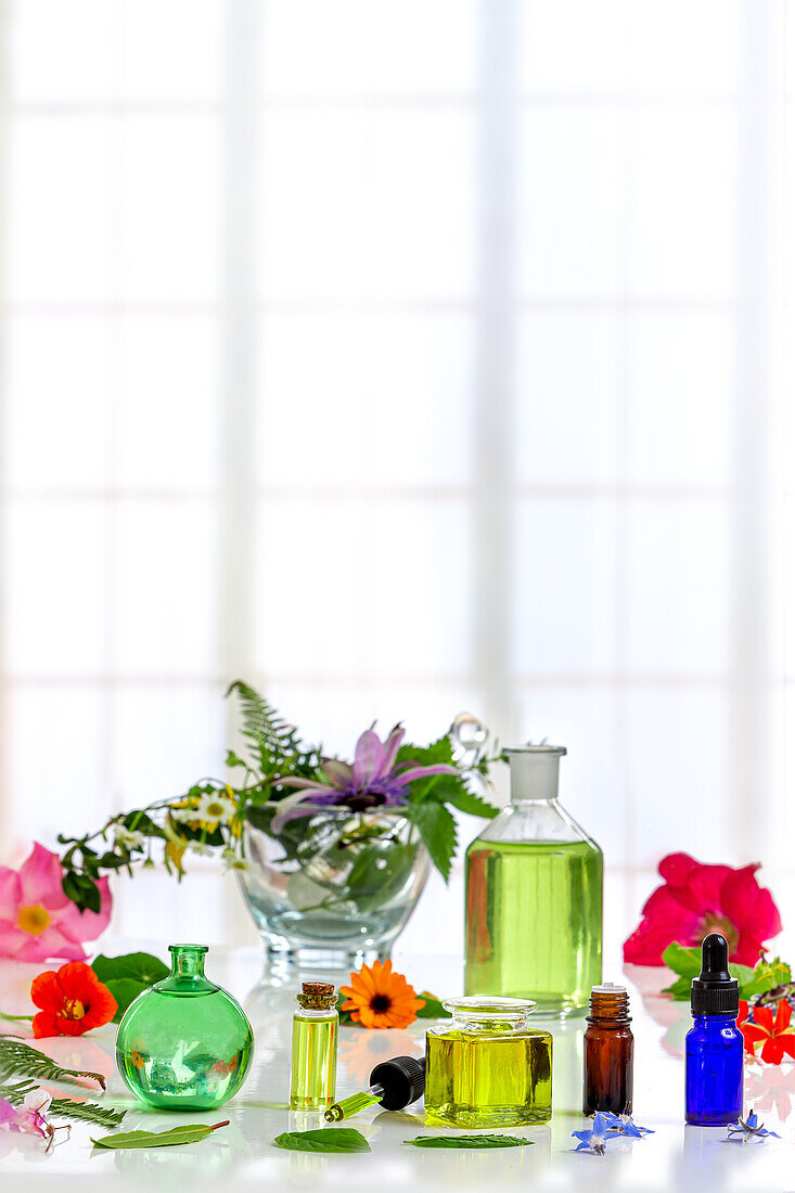 Assortment of small bottles of essential oils surrounded with medicinal plants and flowers