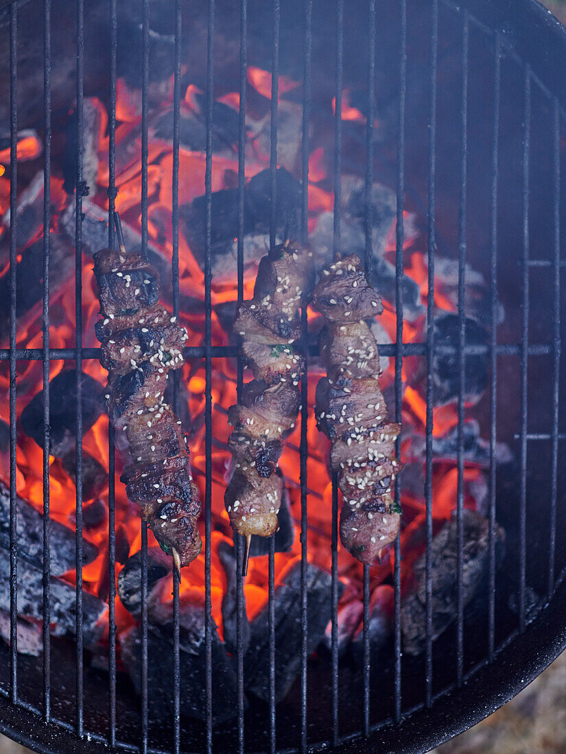 Duck skewers on the grill