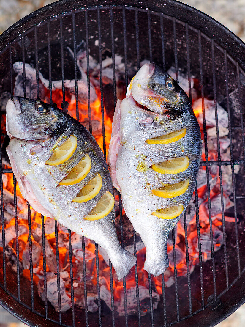 Meerbrassen auf dem Grill