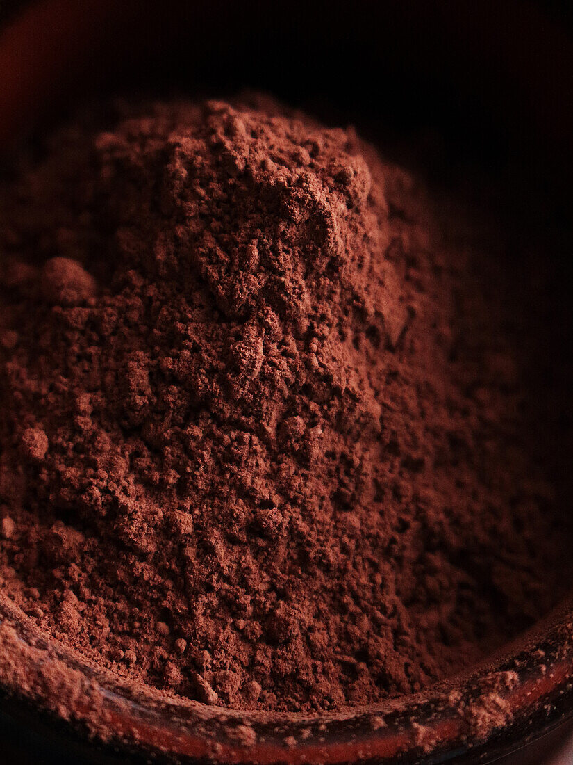 Close-up on cocoa powder