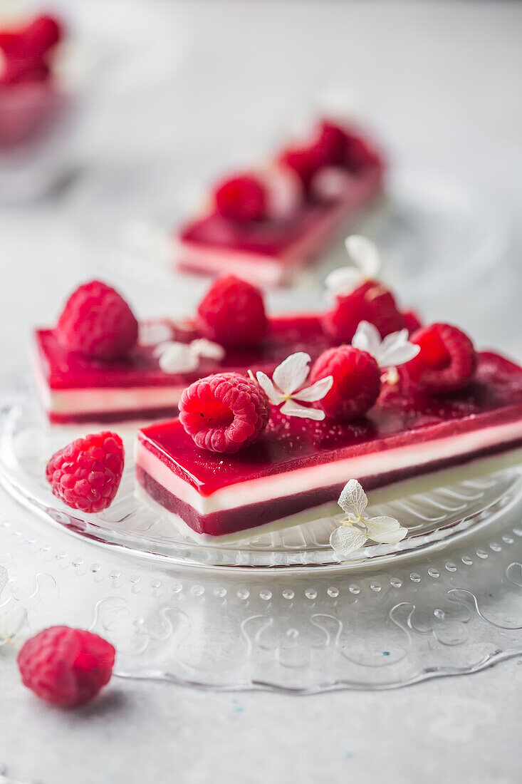 Panna Cotta with layers of raspberry jelly