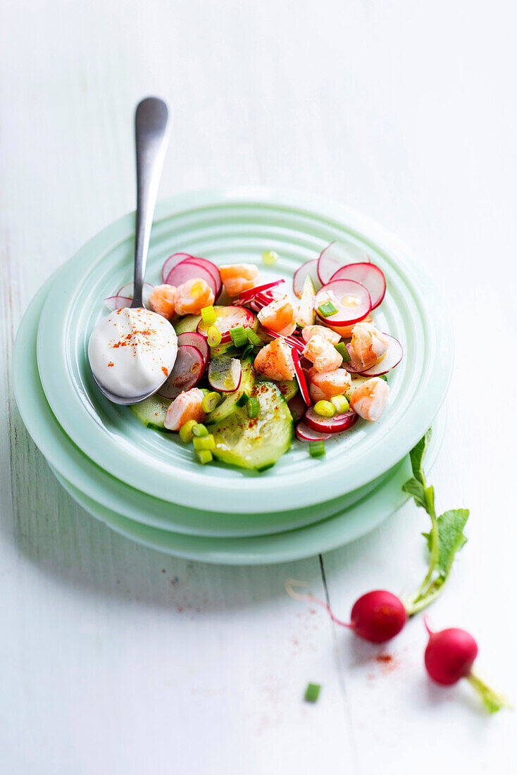 Salat mit Radieschen, Gurken, Garnelen und Frühlingszwiebeln mit Joghurtdressing und Piment d'Espelette.