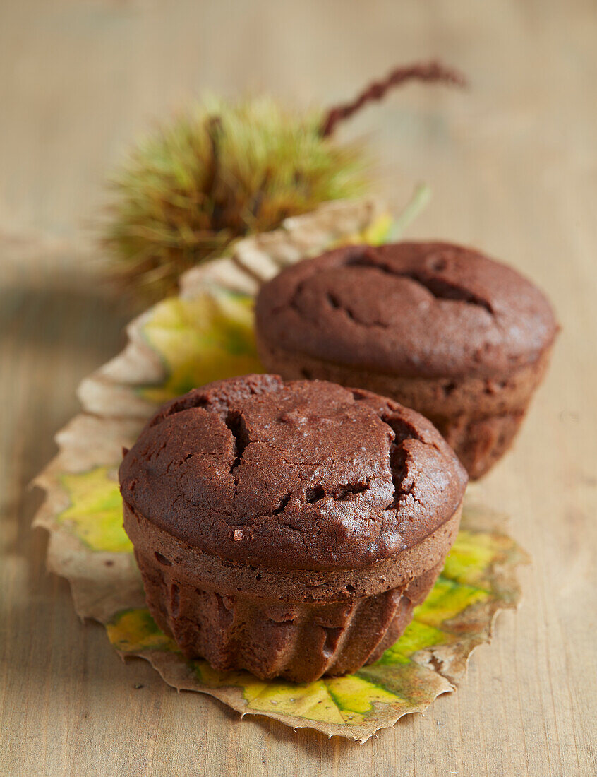 Choco-chestnut muffin