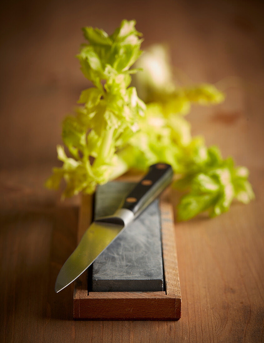 Knife and a knife sharpener