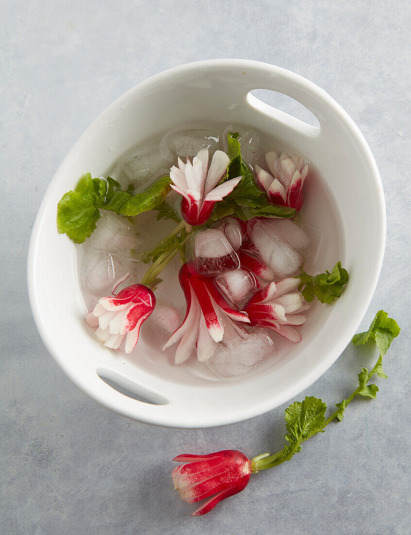 Pink radishes : plunging the radishes in a bowl of iced cold water and leave them to open