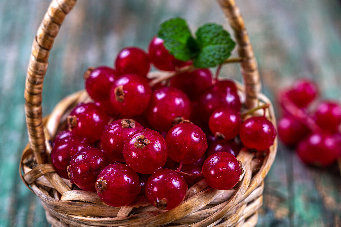 Red currants in a small basket (Close Up)