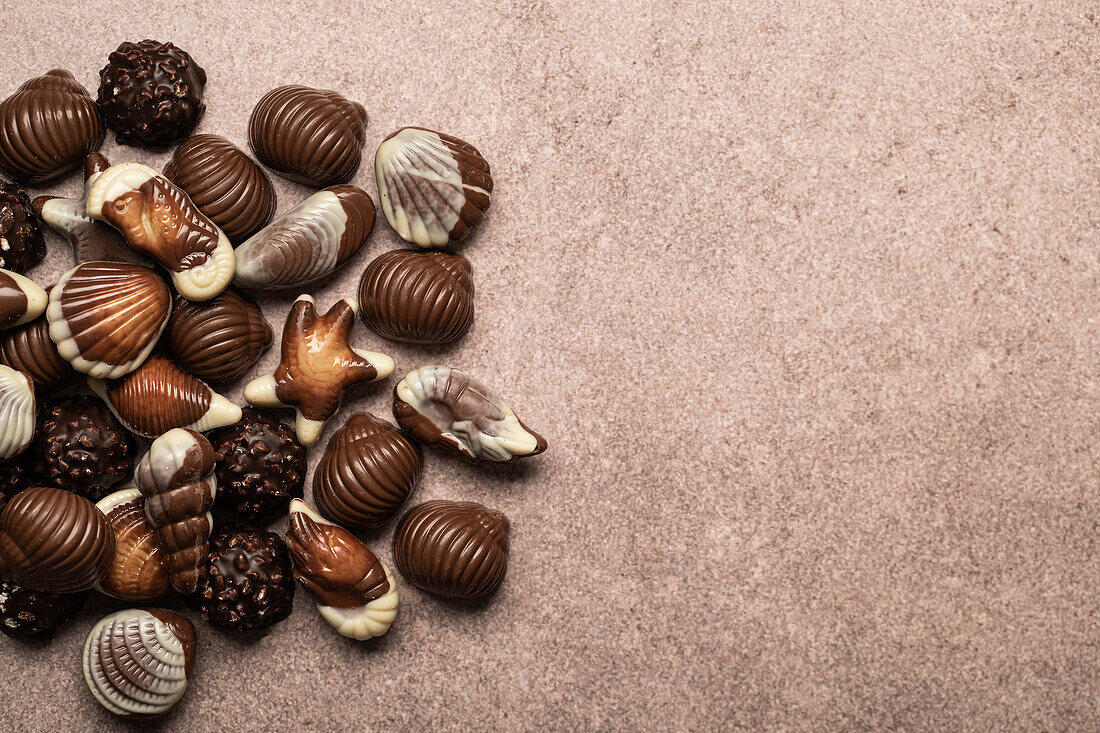 Chocolate pralines in the shape of shells and crustaceans