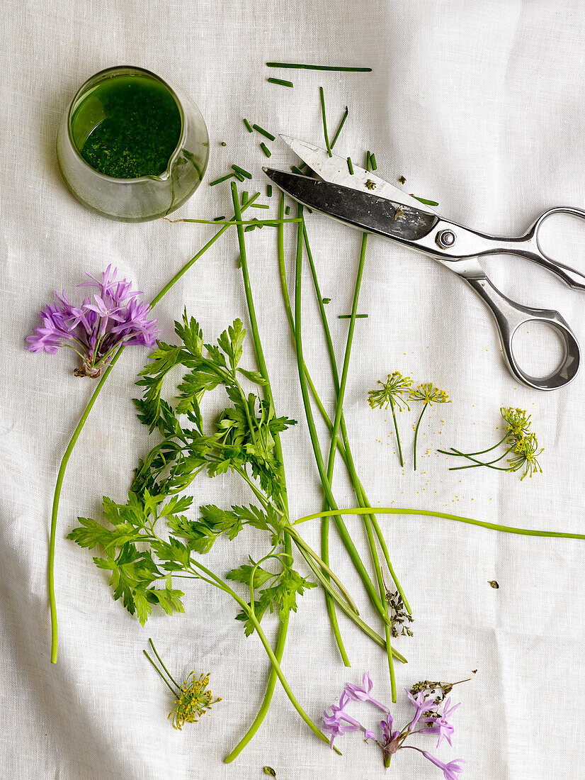 Sauce aus verschiedenen aromatischen Kräutern