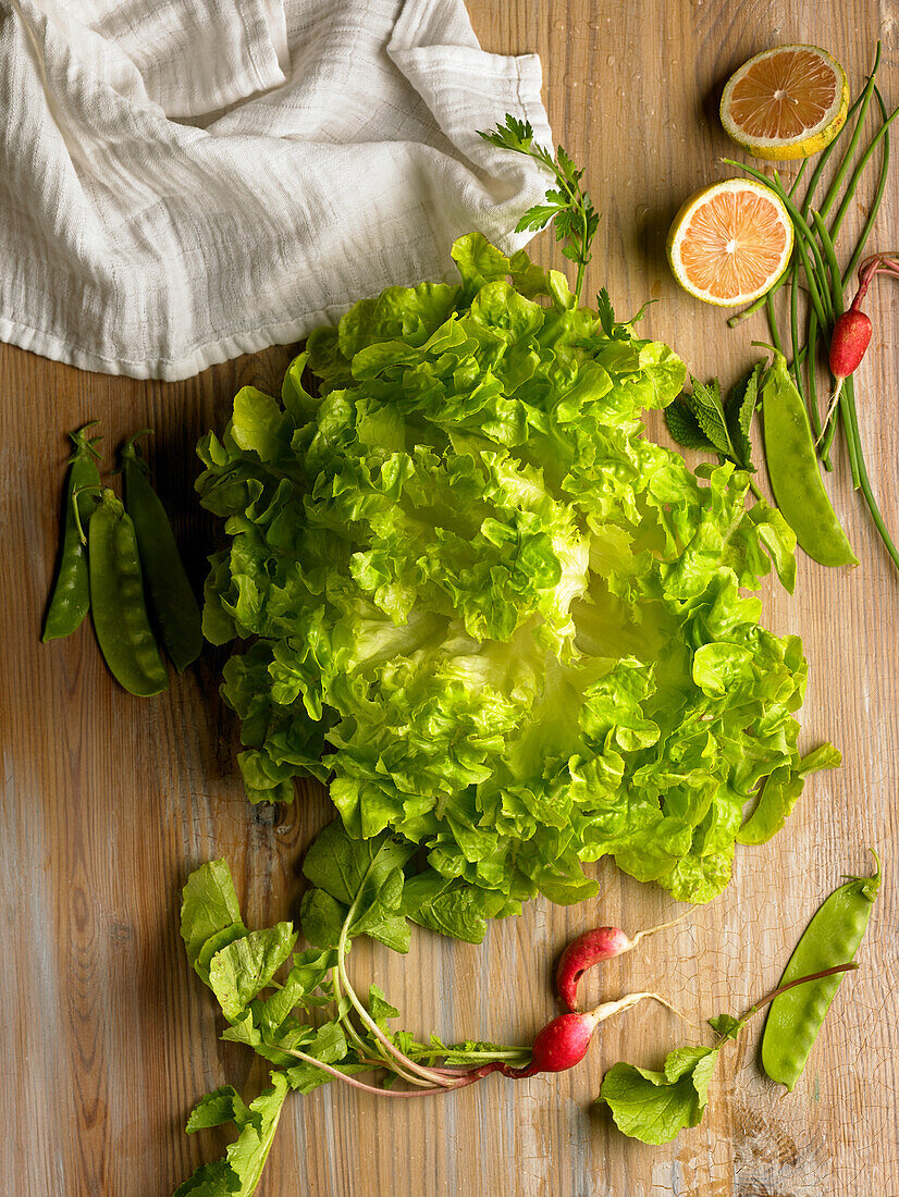 Salatzutaten: Kopfsalat, Erbsen, Radieschen und Zitronen