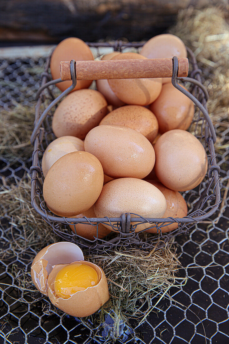 Fresh eggs in a wire basket