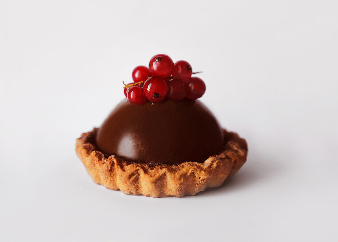Schokoladen-Tartelettes dekoriert mit roten Johannisbeeren
