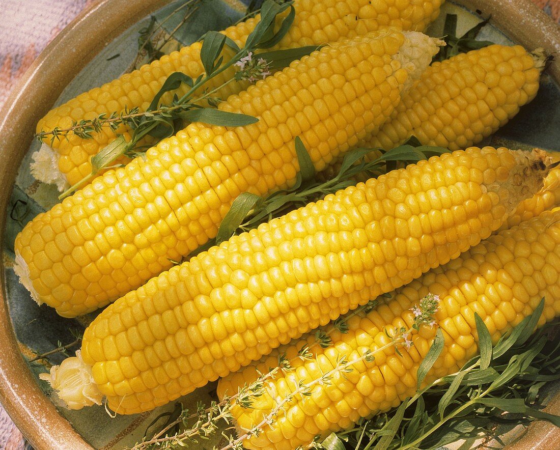 Corn on the Cob with Fresh Herbs