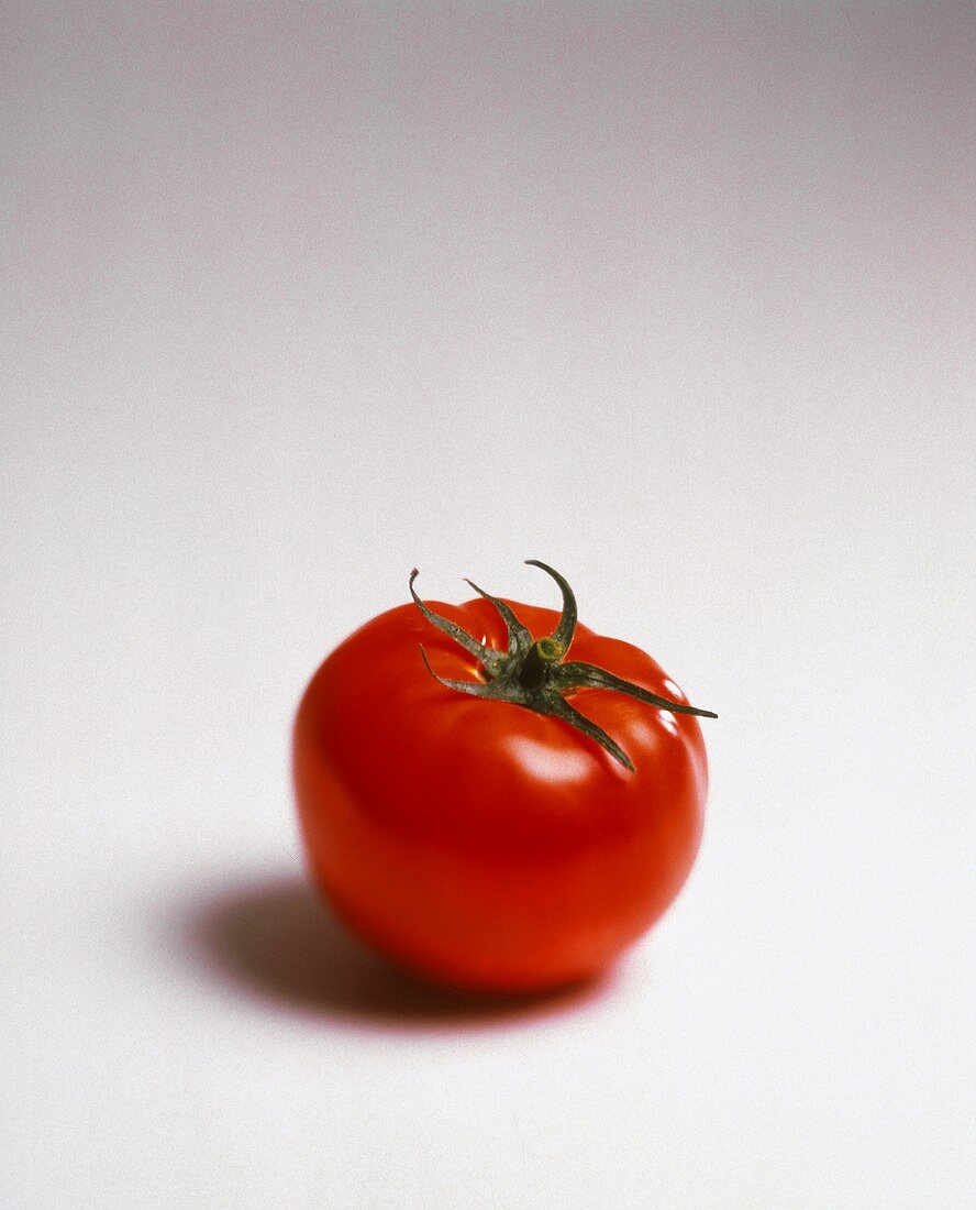 Eine Tomate auf weißem Untergrund