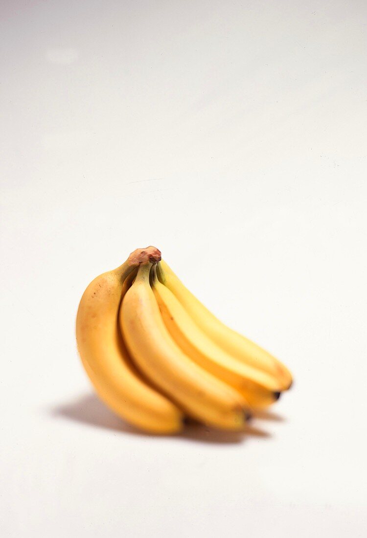 Eine Bananenstaude